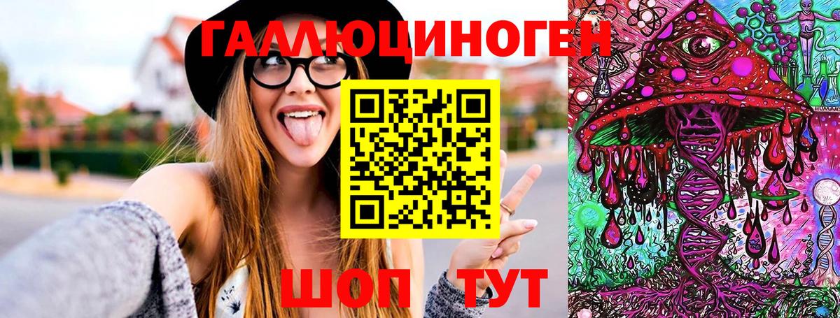 Псилоцибиновые грибы Psilocybe Осинники