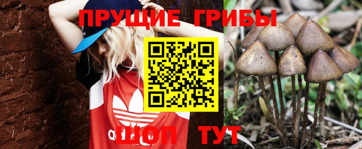 Галлюциногенные грибы Magic Shrooms  Вход с VPN  Осинники  Псилоцибиновые грибы Cubensis 